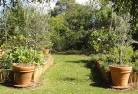 Cranbourne Eastvegetable-gardens-3.jpg; ?>